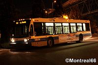 STM 22-295.jpg