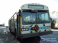 STM-12055.jpg