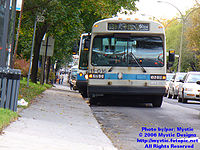 STM-11016.jpg