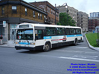STM-13077.jpg