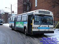 STM 11020.jpg