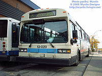STM-13020.jpg